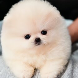 ย้ายบ้านแล้ว