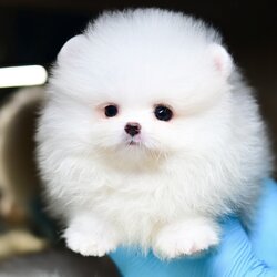 ย้านบ้านแล้ว