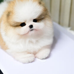 ย้ายบ้านแล้ว