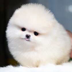 ย้ายบ้านแล้ว