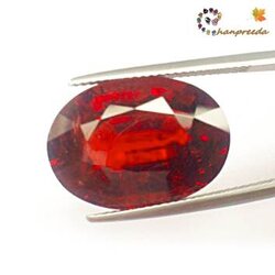 Rare!!! Spessartite พลอยสเปคสไทท์ ขนาดใหญ่หายากมากค่ะ รูปไข่ หนัก 20.30 กะรัต สีแดงอมส้ม ความสะอาดมองตาเปล่าสะอาด 80%ส่องด้วยกล้องขยายมีตำหนิภายในเม็ด