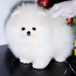 ย้ายบ้านแล้ว