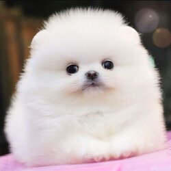 ย้ายบ้านแล้ว ผช