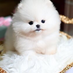 ย้ายบ้านแล้ว