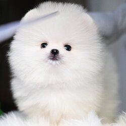 ย้ายบ้านแล้ว