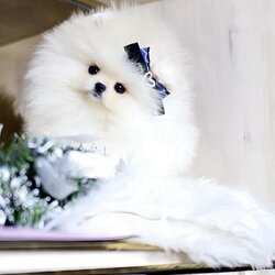 ย้ายบ้านแล้ว