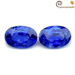 Couple Blue Sapphire พลอยไพลินรูปไข่คู่ มาบิล่า น้ำหนักรวม 1.37 กะรัต สีน้ำเงินหวานสวย สีน้า2 ความสะอาดมองตาเปล่าสะอาด 98%-99% ไฟดี เจียระไนสวย
