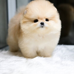 ย้ายบ้านแล้ว