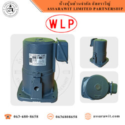 คูลแลนท์ปั๊ม DP Series "WLP"
