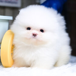 ย้ายบ้านแล้ว