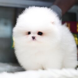 ย้ายบ้านแล้ว