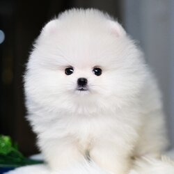 ย้ายบ้านแล้ว