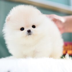 ย้ายบ้านแล้ว