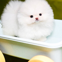 ย้ายบ้านแล้ว