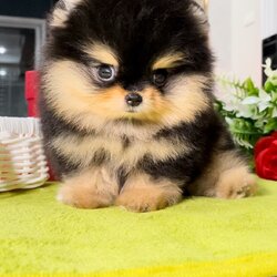 ย้ายบ้านแล้ว