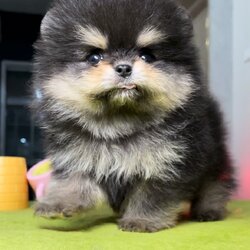 ย้ายบ้านแล้ว