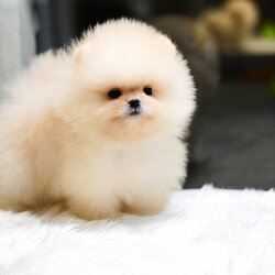 ย้ายบ้านแล้ว