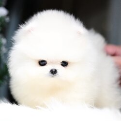 ย้ายบ้านแล้ว