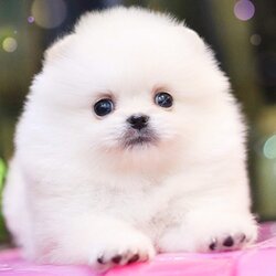 ย้ายบ้านแล้ว ผช