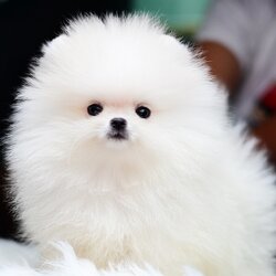 ย้ายบ้านแล้ว