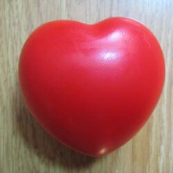 บอลบีบ บอลบริหารมือ