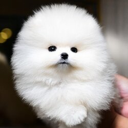 ย้ายบ้านแล้ว