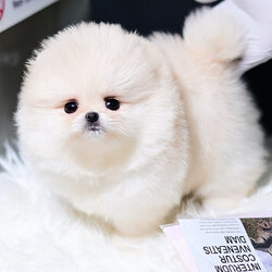 ย้ายบ้านแล้ว