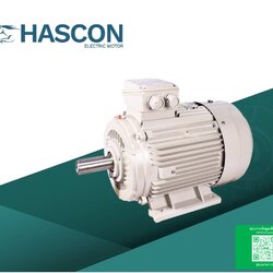 Hascon electric motor Model:HA632-4 ,0.18kw 220/380V 1320 r/min