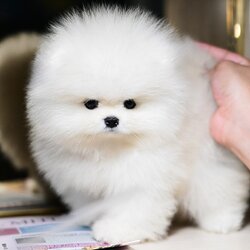 ย้ายบ้านแล้ว