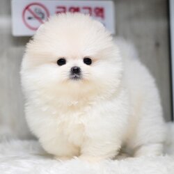 ย้ายบ้านแล้ว