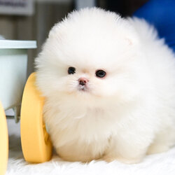 ย้ายบ้านแล้ว