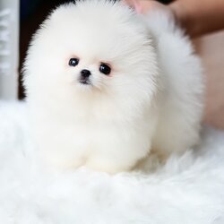 ย้ายบ้านแล้ว