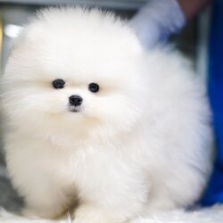 ย้ายบ้านแล้ว