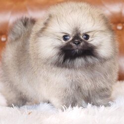 ย้ายบ้านแล้ว ผช