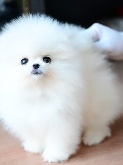 ย้ายบ้านแล้ว