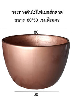 กระถางต้นไม้ไฟเบอร์กลาส ตามห้างสรรพสินค้า modern trade pot fiberglass