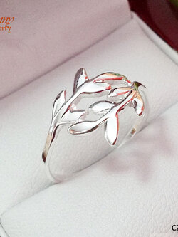 แหวนเงินแท้ แหวนใบมะกอกเกลี้ยง งานเงินแท้