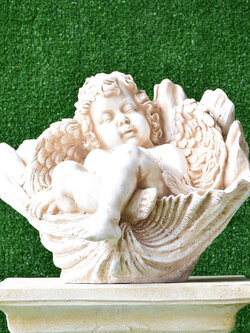 กามเทพนอนในเปลือกหอย