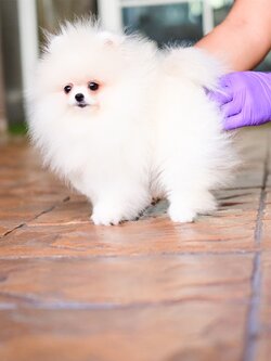 ย้ายบ้านแล้ว