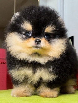 ย้ายบ้านแล้ว