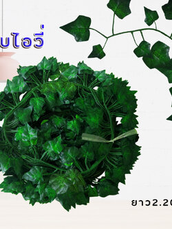 เถาวัลย์ ไม้เลื้อยเล็ก 1 แพค มี 12 เส้น ( ยกแพค 12 เส้น )