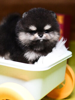 ย้ายบ้านแล้ว