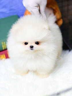 ย้ายบ้านแล้ว