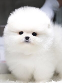 ย้ายบ้านแล้ว