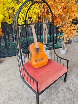 เก้าอี้กรงนก