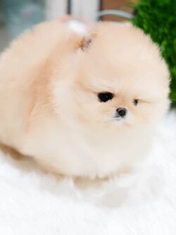 ย้ายบ้านแล้ว