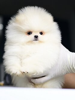 ย้ายบ้านแล้ว