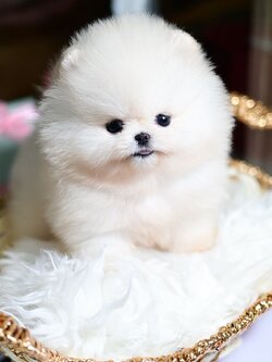 ย้ายบ้านแล้ว