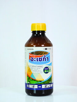 อะเซก้า