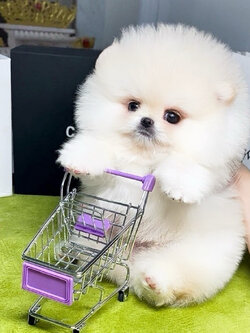 ย้ายบ้านแล้ว